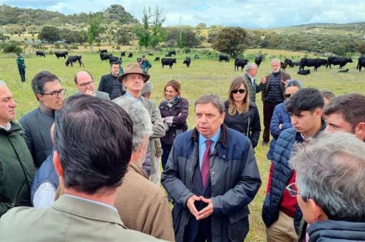 El ministro de Agricultura, Pesca y Alimentación, Luis Planas, durante su visita